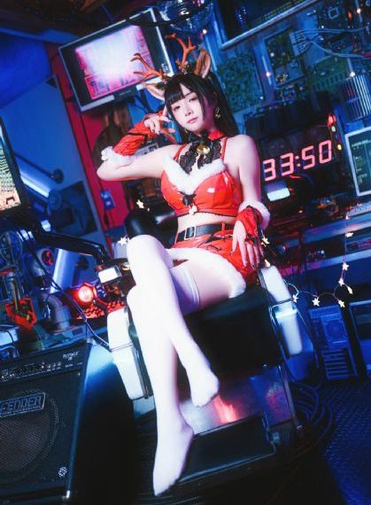 狃花女电视剧免费全集