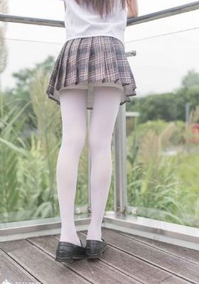 灿烂的花园综艺免费观看