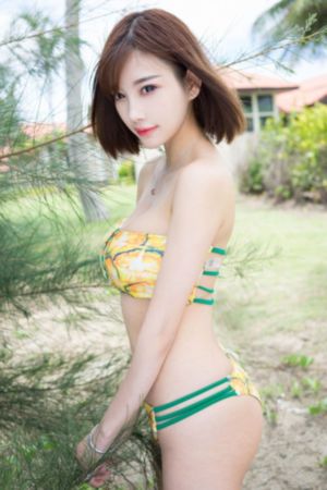 昨夜星辰又逢君短剧免费观看