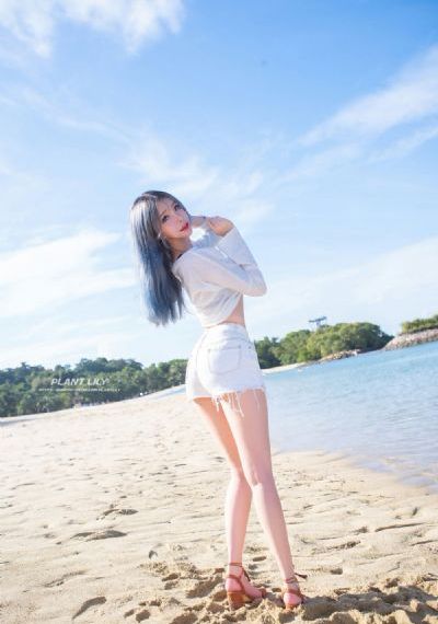 《云之羽》